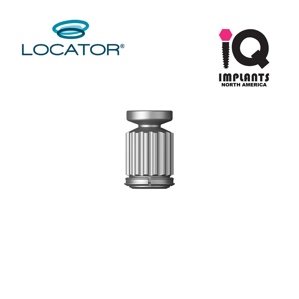 Zest Torque Wrench Replacement Insert for Torque Indicating Ratchet